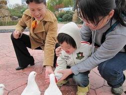 娱乐吃瓜报道怎么写的,吃瓜群众热议的幕后故事